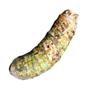 Arum  Root
