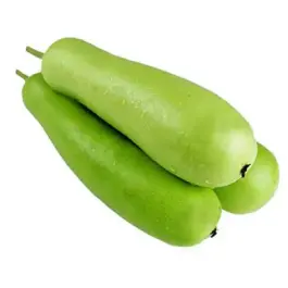 Bottle Gourd