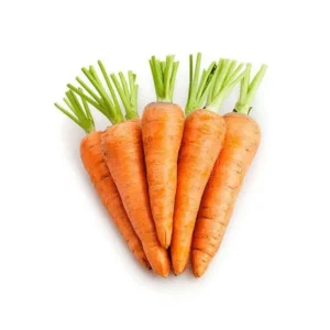 Carrot