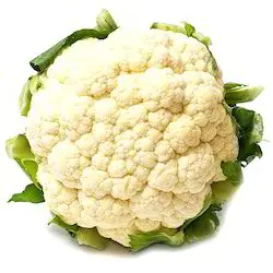 Cauliflower (Fulcopi)