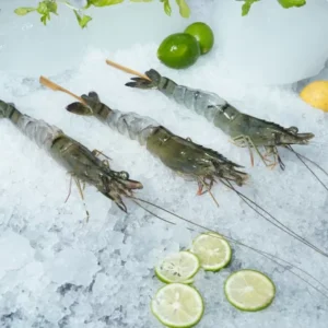 body peeled tail on block