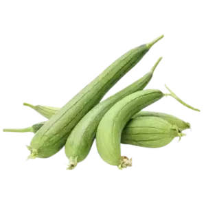 Dhundhul (Sponge Gourd)