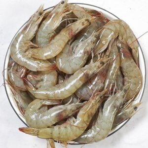 Horina Shrimp.