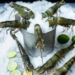 head on shell on i.q.f