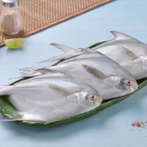 Silver Pomfret