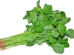 data-shak-data-spinach-1-bundle