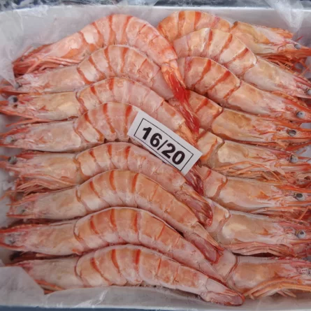 head on shell on cooked