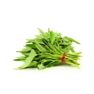 kolmi-shak-water-spinach