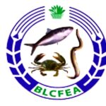 WhatsApp Image 2026-03-08 at 17.21.27