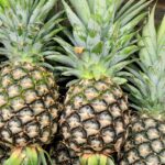 Pineapple (Ananas comosus)