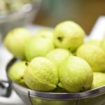 Guava (Psidium guajava)