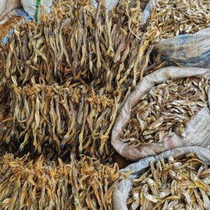 Dry Fish
