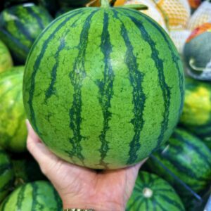 Close-up of a fresh whole watermelon being held, showcasing its vibrant green stripes.